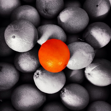 The only orange pair の素材