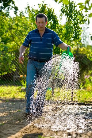 Gardener irrigated garden green watering can in a beautiful spring day.の写真素材