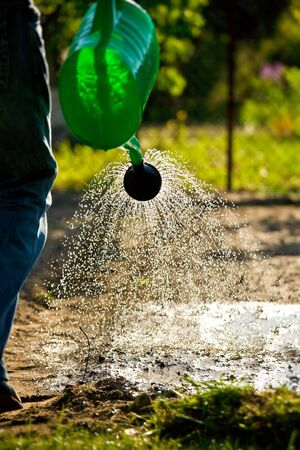 Watering the garden green watering can in a beautiful spring day.の写真素材