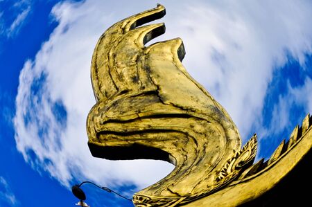 Fish eyeの写真素材