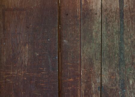 The texture of wood