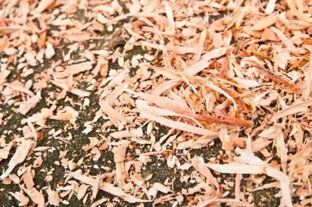 Sawdustの写真素材