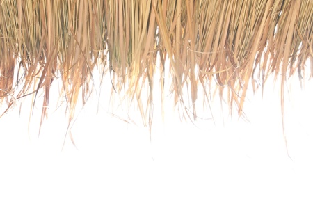 a pile of straw on a white backgroundの写真素材
