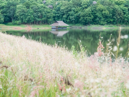 Lake and mountains and grass fieldの写真素材