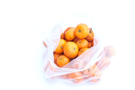 kumquat close up isolated on whiteの写真素材