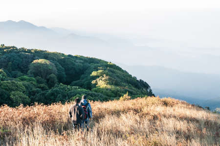 Group of tourists hiking on Yellow Grass and mountainの写真素材