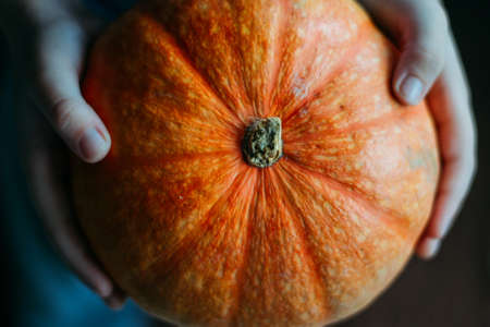 pumpkinの写真素材