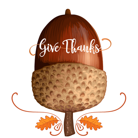 Happy Thanksgiving acorn on white background with calligraphy quotes Vector illustrationのイラスト素材