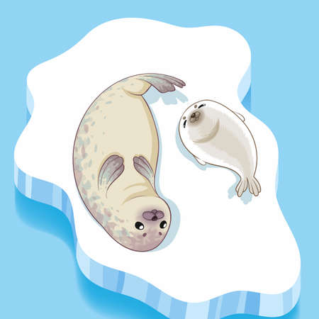 Cute seals family cartoon character design. vector Illustration.のイラスト素材