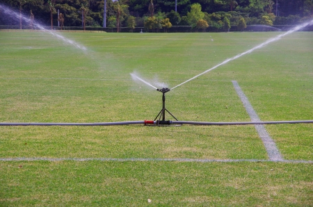 sprinkler on the lawnsの写真素材