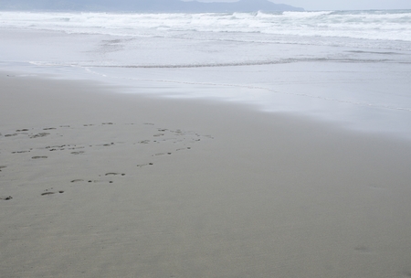 footprints on the beachの写真素材
