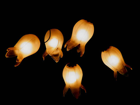 The lamp of campanulaの写真素材