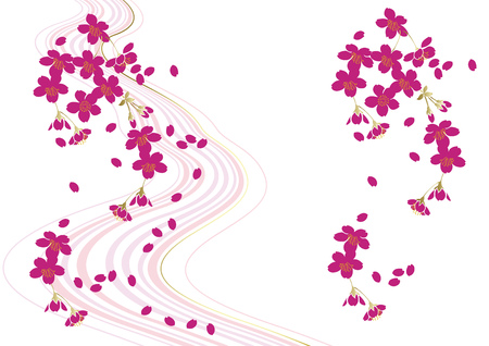 japanese cherry blossom.のイラスト素材