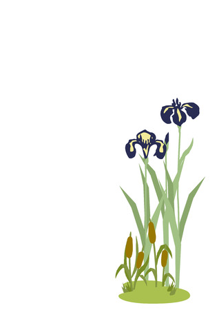 Illustration of Japanese early summer landscape. Illustration of iris flower. Japanese style flower clip art. Japanese style flower landscape. Image of seasonal flowers.のイラスト素材
