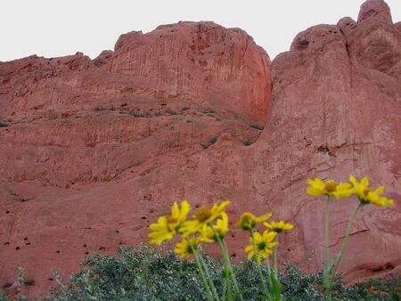 Flowers in the Valley of the Godsの写真素材