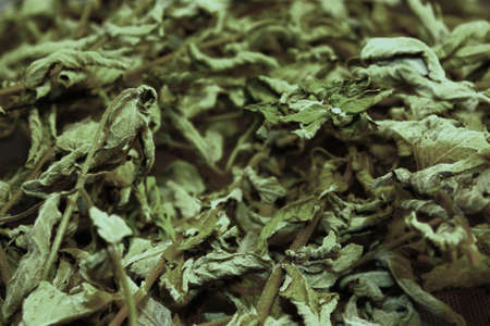 Dried Mint Leaves used in baking, cooking and as a tea.の写真素材