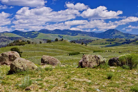 Yellowstone N.P.の写真素材
