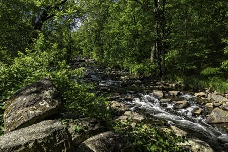 Running Creekの写真素材
