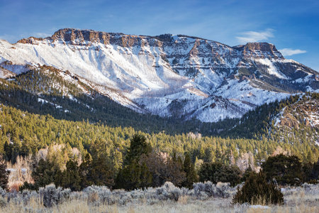 Clayton Mountain Rocky Mountain Landscape in Winter. Wyoming, United States.