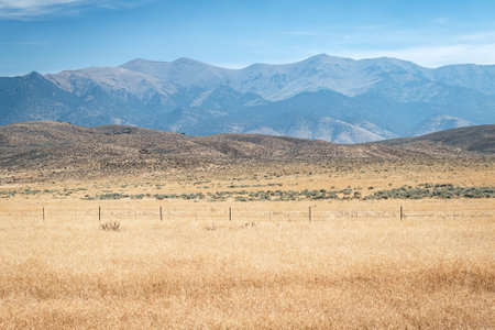 Landscape of grassland with mountains in background, Nevada, USAの写真素材