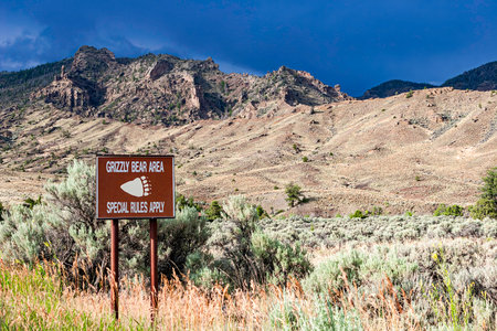 Road sign "Grizzly Bear Area" in the Yellowstone ecosystem of northwest Wyoming, United States of Americaの写真素材