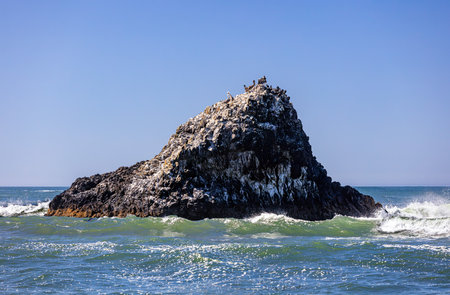 Rocky coast of the Pacific Ocean in central Oregon, United States.