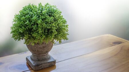 The garden green of decord