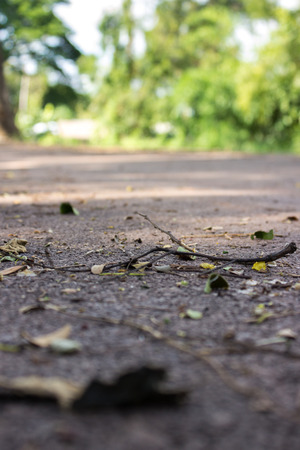 The detail on the roadの写真素材