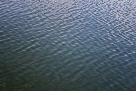 the wave on green water background and shadow skyの写真素材