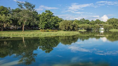 A shadow of the tree over waterの写真素材