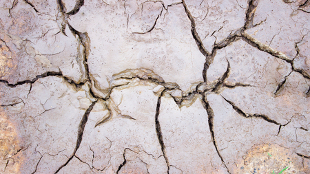 The dry soil textures on  the ground