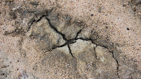 The dry soil textures on  the groundの写真素材