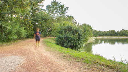 The road for walk on the green tree backgroundの写真素材