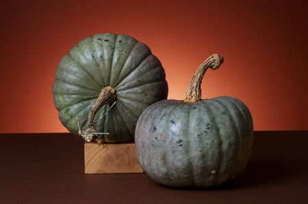 Studio shot of pumpkinsの写真素材