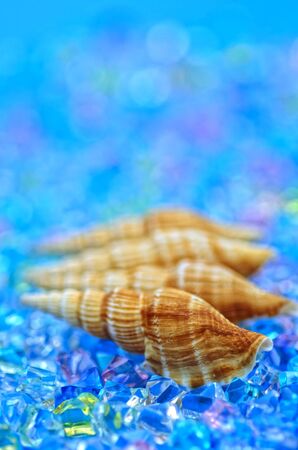 Summer shell