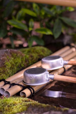 Japanese Cho-Zuの写真素材