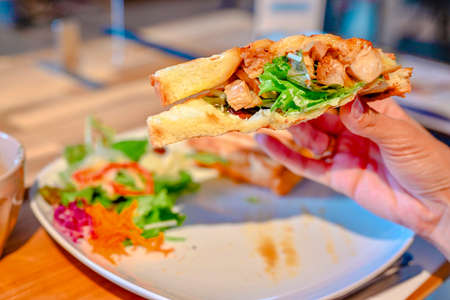 Chicken Teriyaki Sandwichの写真素材