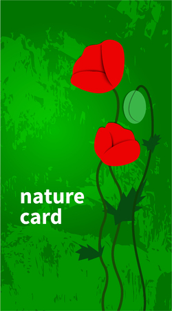 Poppy. Vector flowers. Template for business card, greeting card, flyers, banner, poster, brochure, booklet styles paper flat appliques with shadowsのイラスト素材