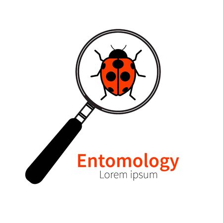 icon of entomology, biology, zoology. Red ladybug, beetle, bug under magnifying glass. Symbol of research studyのイラスト素材