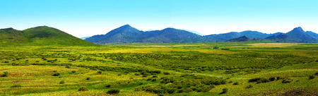Nature Of East Kazakhstan. Panorama spring green steppe and mountains.