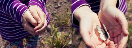 Little girl holding in hands white butterfly, cabbage butterfly. Collage closed and open palm, surprise, secret.の写真素材