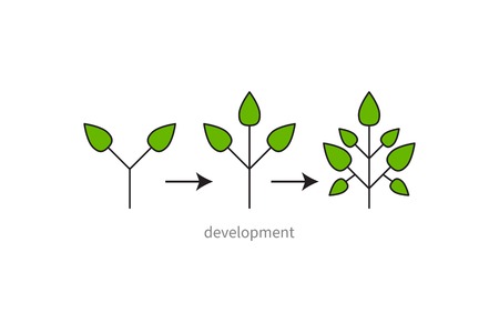 Development, growth, evolution iconのイラスト素材
