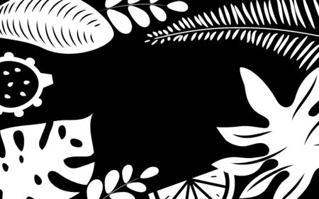 Palm leaves, black and white background, natural frame, borders with plants, vector bannerのイラスト素材