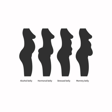 Different types and causes of abdominal obesity in womenのイラスト素材