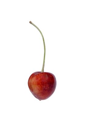 Cherry Isolated on whiteの写真素材