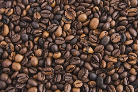 background from scatter grain powder coffee.の写真素材