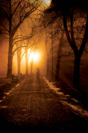 Lonely foggy path in a park at nightの写真素材