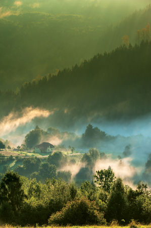 Foggy morning in forrested mountainsの写真素材
