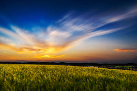 Field of barley during sunset with long exposure clouds