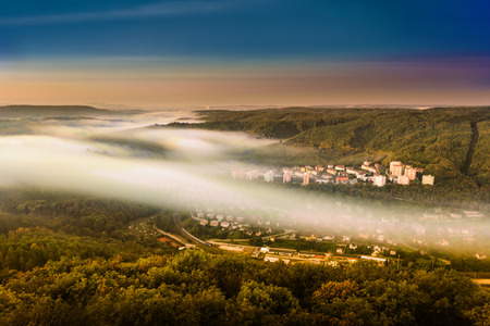 Aerial view of a foggy early morning in forrest